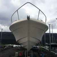 Fiart 35 natante (targato)