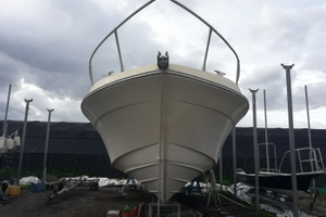 Fiart 35 natante (targato)