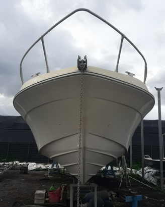 Fiart 35 natante (targato)