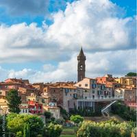 Porzione rustico con annessi e uliveto a Peccioli