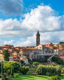 Porzione rustico con annessi e uliveto a Peccioli