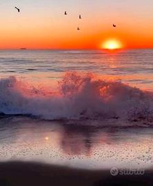 Casa mare Festival degli aquiloni Margherita di S