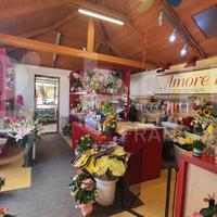 Negozio Cividale del Friuli [FioreriaVCG]