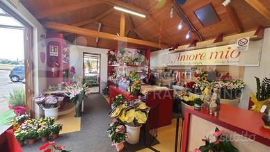 Negozio Cividale del Friuli [FioreriaVCG]