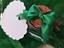 Immagine 5