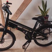 Bicicletta nera NWG