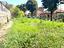 Immagine 23