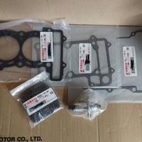 Kit guarnizioni e distribuzione Tmax 500 2001/2005