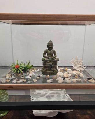 Acquario