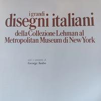 libro d'arte Disegni al Metropolitan Museum di NYC