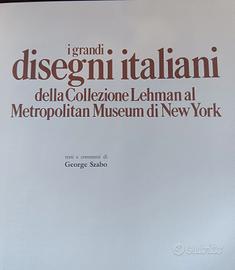 libro d'arte Disegni al Metropolitan Museum di NYC