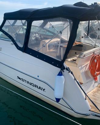 Barca Stingray