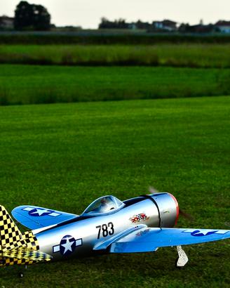 P-47 Thunderbolt rc