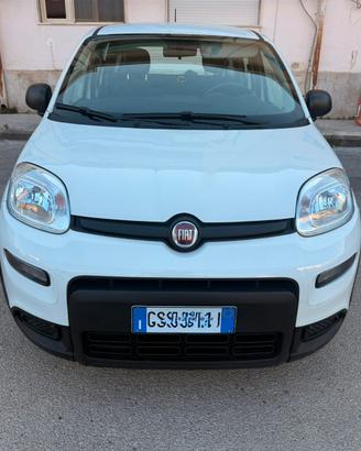 FIAT PANDA HYBRID