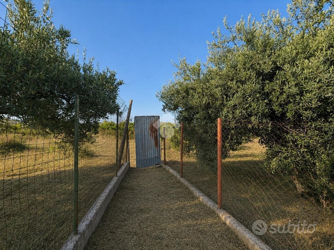 TER. AGRICOLO A FICARAZZI - Vista 3