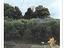 Immagine 15