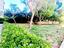 Immagine 17