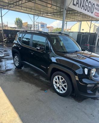 Geep renegade