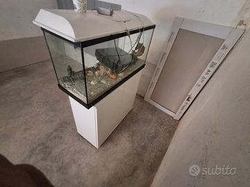 acquario 