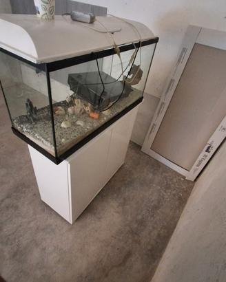 acquario 