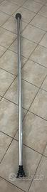 Palo the pole