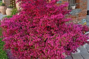 Appartamento Scanzano jonico centro