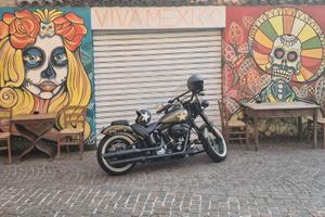 Harley Davidson Softail Slim S 