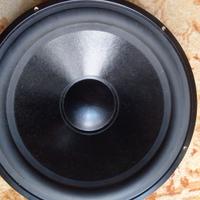 altoparlanti passivi Dayton Audio SD315PR