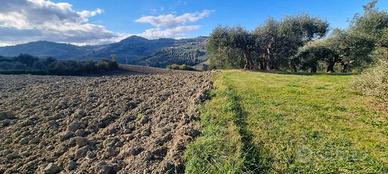 Terreno di 9199 m² a Saludecio