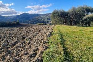 Terreno di 9199 m² a Saludecio