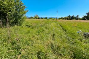 Terreno agricolo In zona tranquilla