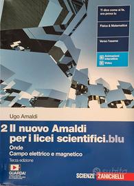 Il nuovo Amaldi Vol. 2