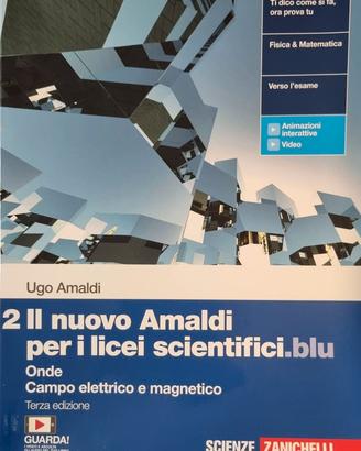 Il nuovo Amaldi Vol. 2