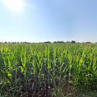 VERO !! Castiglione delle Stiviere Lotto Agr