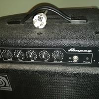 cassa amplificata per chitarra