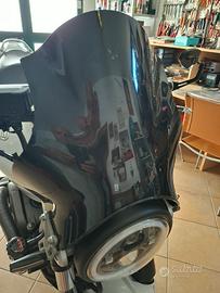 Cupolino Hornet Honda