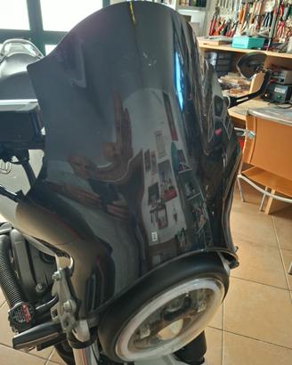 Cupolino Hornet Honda