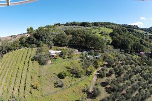 Terreno agricolo 40.000 mt. Ginestreto di Pesaro