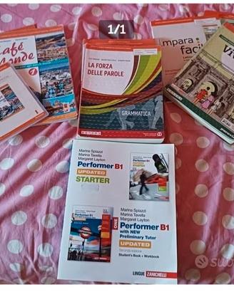 Libri scolastici  linguistico Desanctis-Deledda