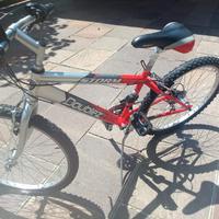 Bicicletta 24"