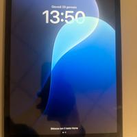 APPLE  iPad 9ª Generazione 256GB WiFi