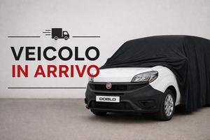Fiat Doblo 1.3 Mjt