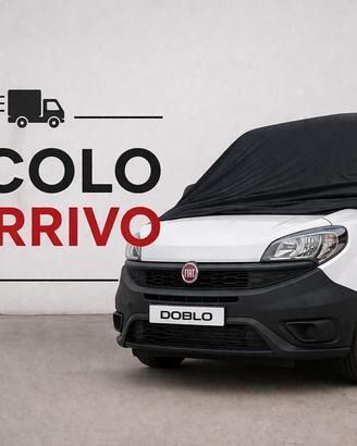 Fiat Doblo 1.3 Mjt
