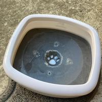 Ciotola con tappetino