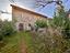 Immagine 7