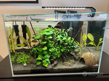 Acquario Blau Acquaristic 38 litri