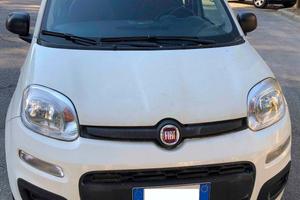 FIAT Panda 1.0 FireFly Hybrid City Life (2021)
