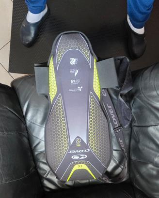 tartaruga protezione schiena moto 