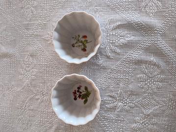 ciotoline Le Botaniche Tognana 