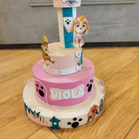 torta finta paw patrol